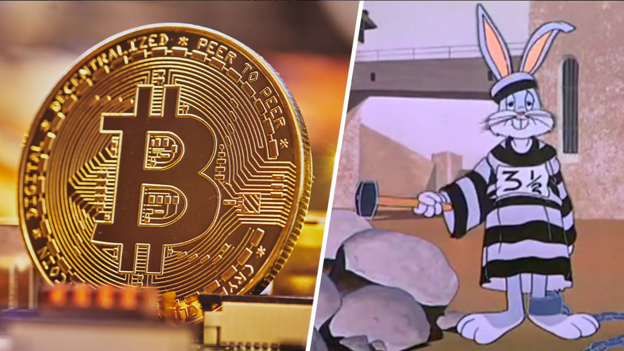 Warner Bros. Pictures, Michael Fortsch via Unsplash