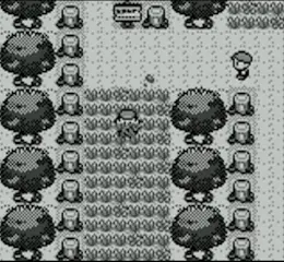 Pokémon Red and Blue /