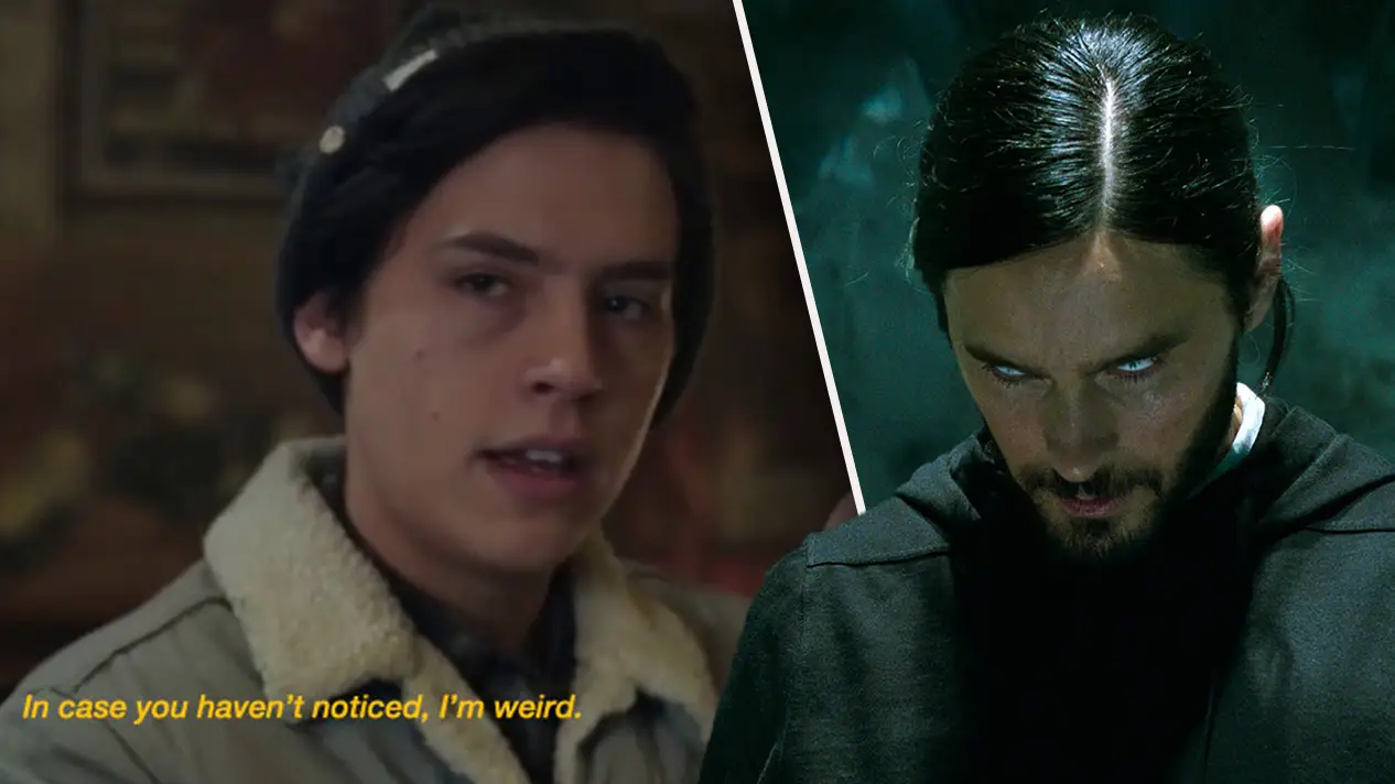 Warner Bros. Television Distribution, Sony Pictures Releasing