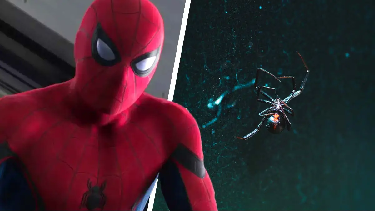 Walt Disney Pictures Motion Studios, Jared Subia via Unsplash