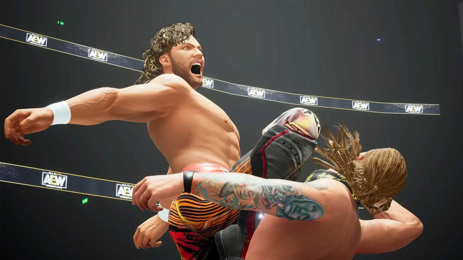 AEW Fight Forever, THQ Nordic