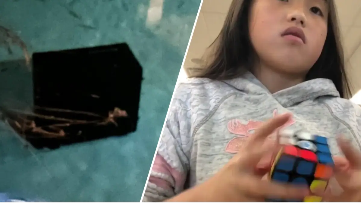 Young Streamer Heartbroken After Dad Destroys PC She Bought With YouTube Earnings