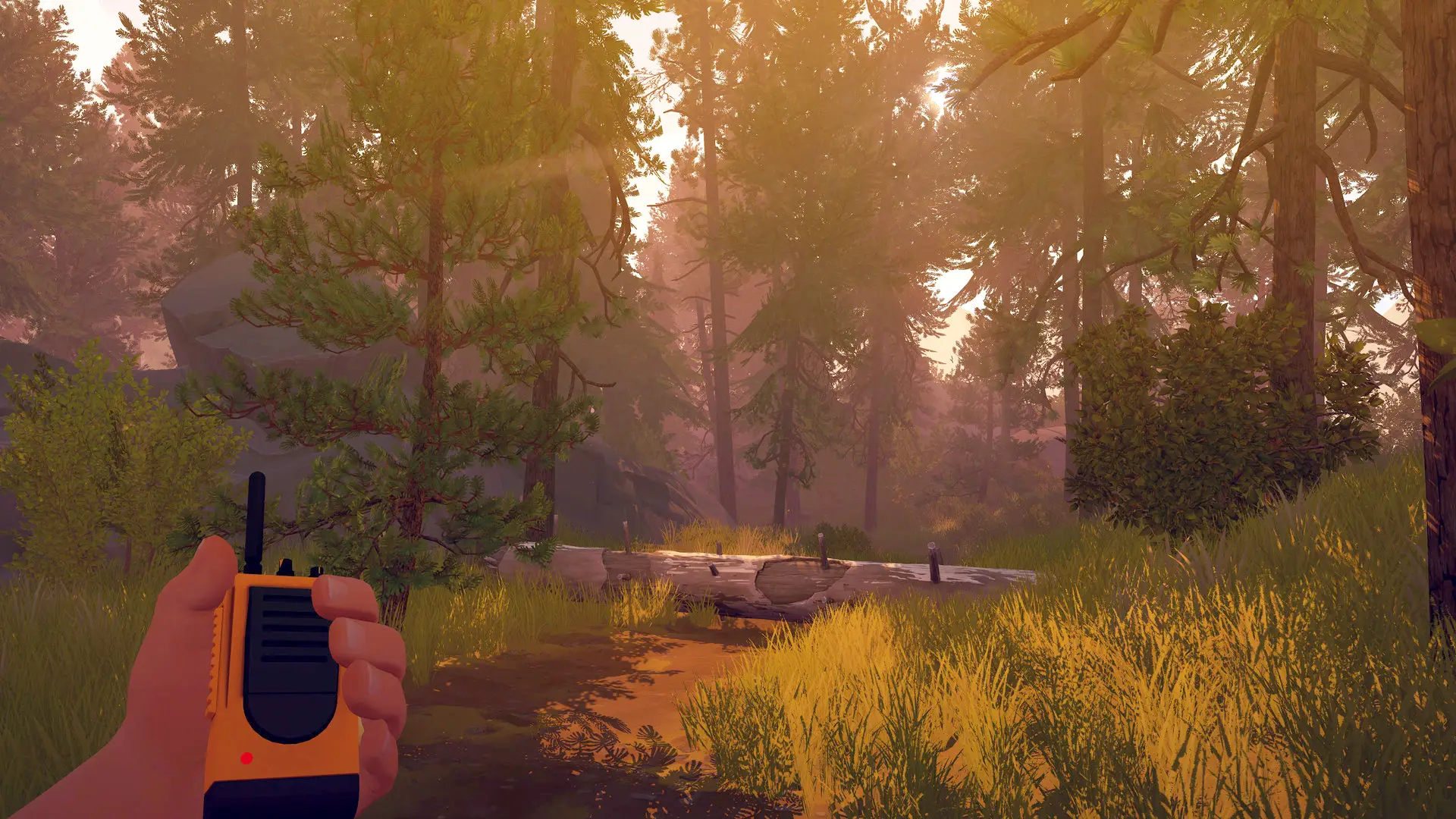 Firewatch,  Panic'Campo Santo