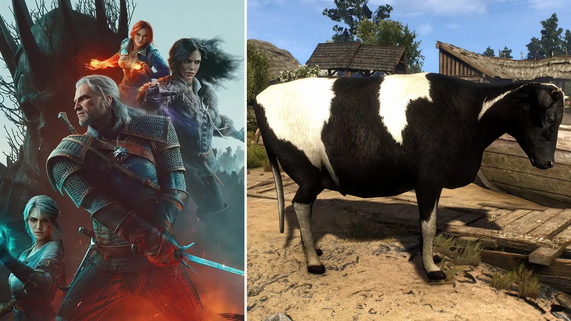 CD Projekt
