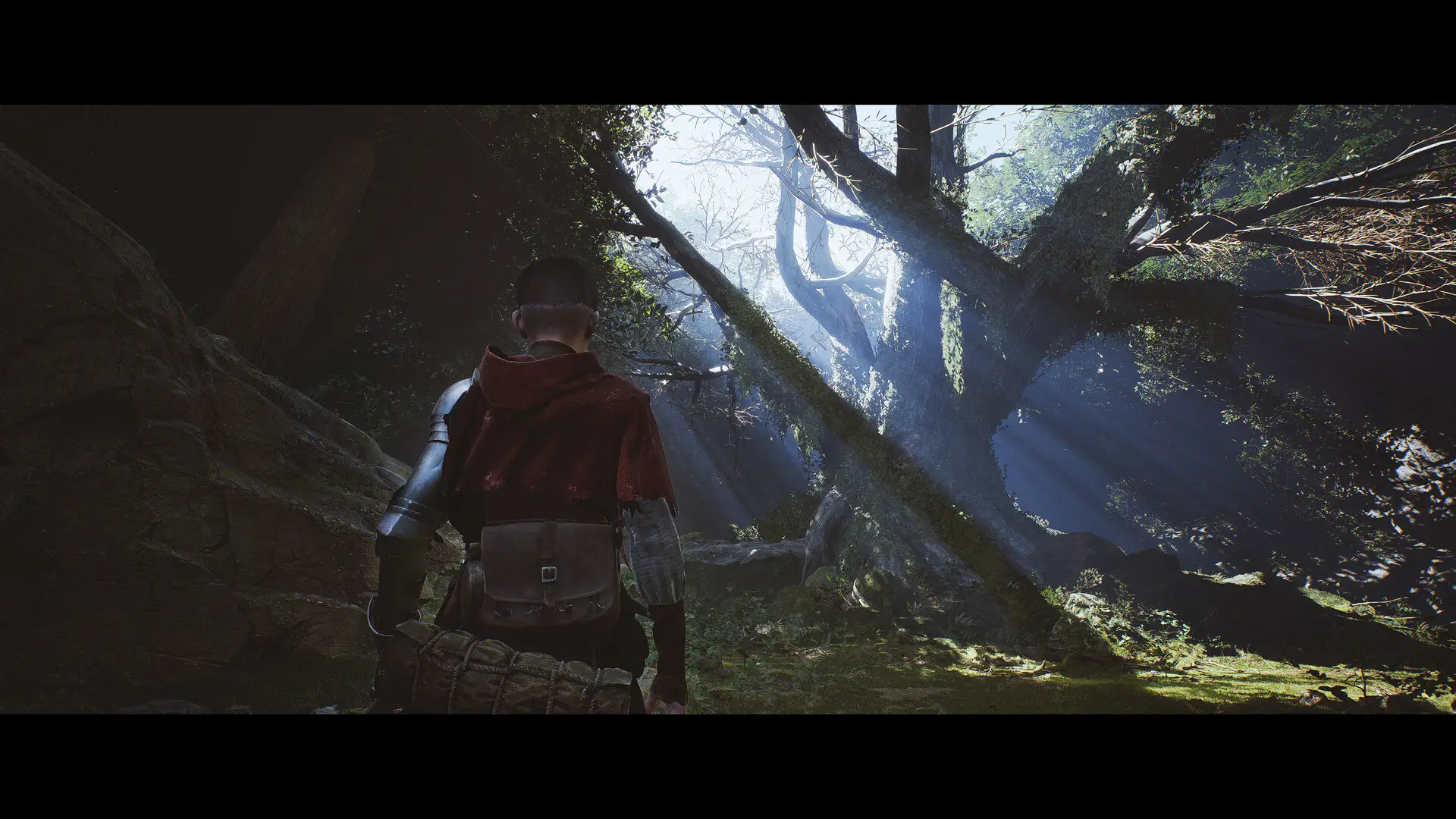 1348 Ex Voto, Credit / Dear Villagers