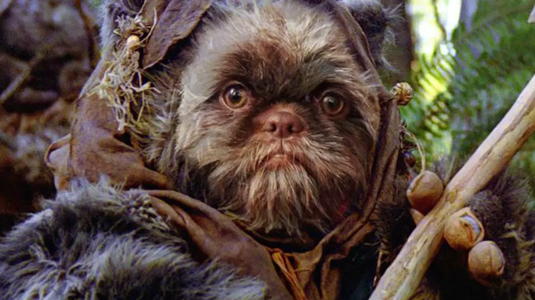 Star Wars Ewoks with no fur are the worst thing I've ever seen