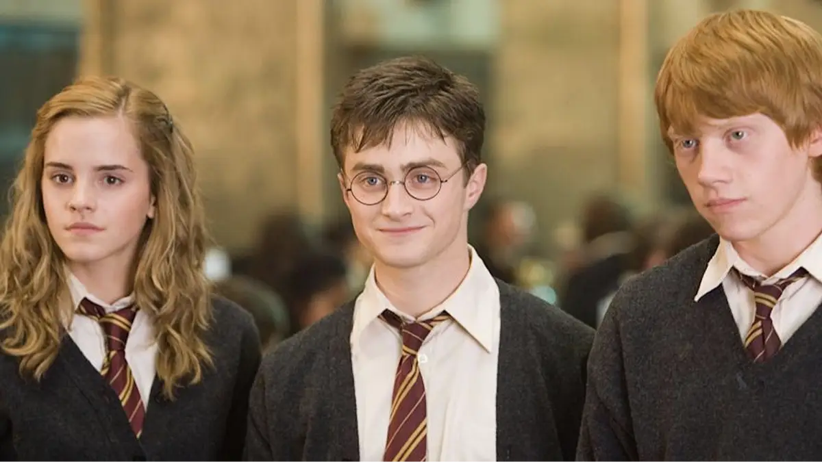 Harry Potter fans delighted by announcement of charming new release