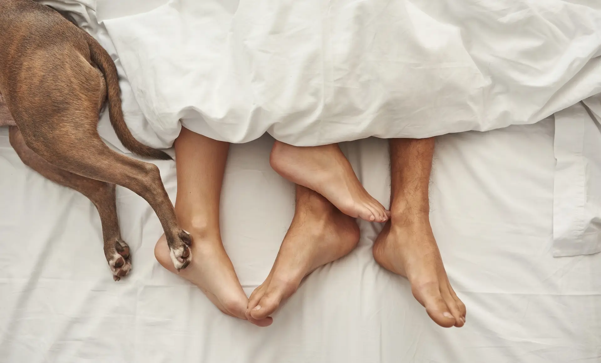 BAZA Production via Shutterstock