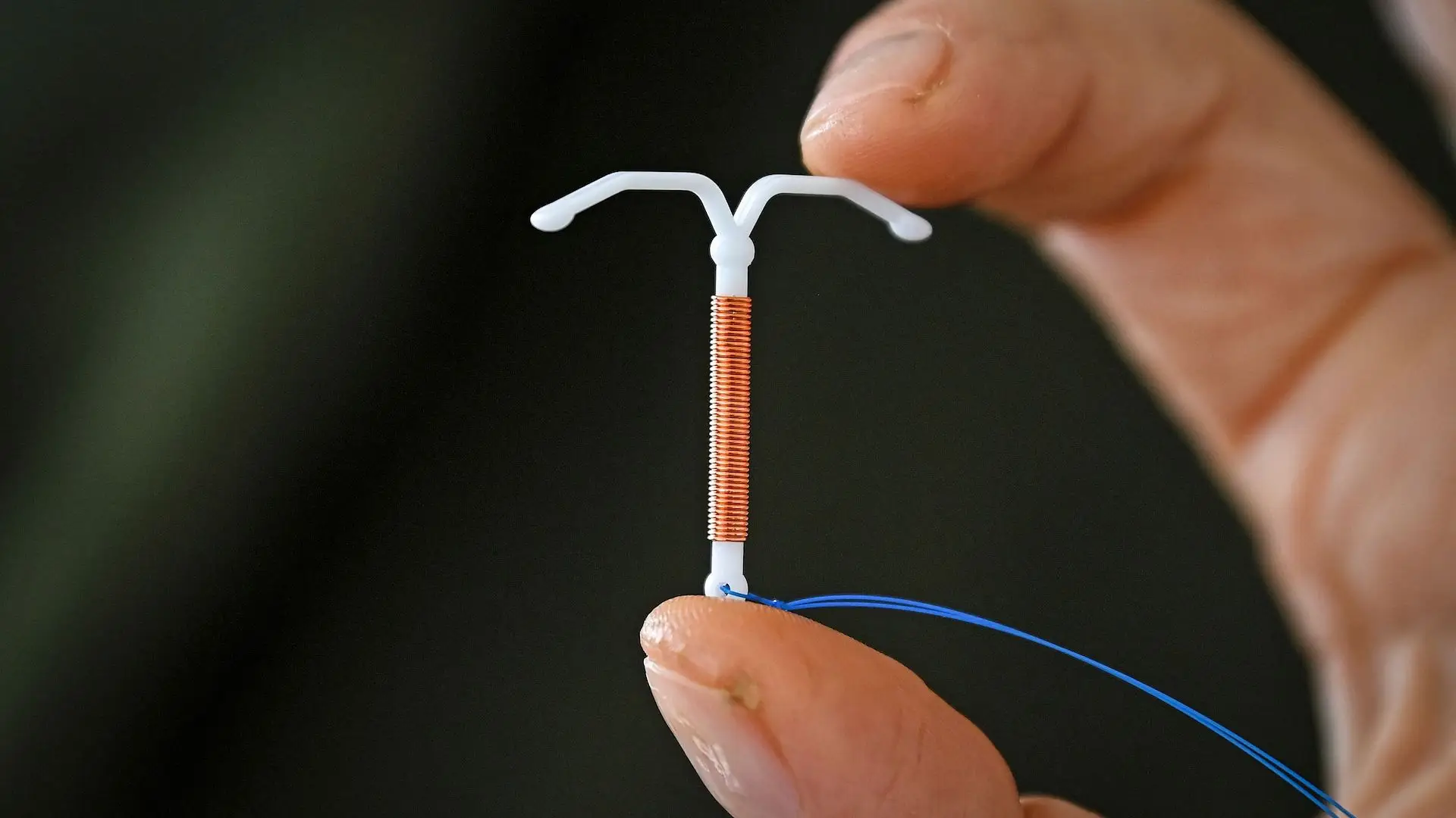 VALENTINE CHAPUIS / Contributor via Getty Images