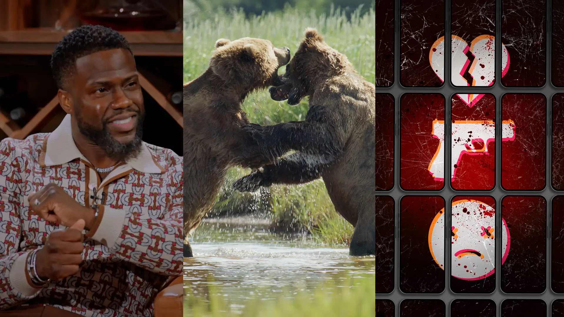 It’s Too Hot To Go Outside, So Stay In With These Shows This Month