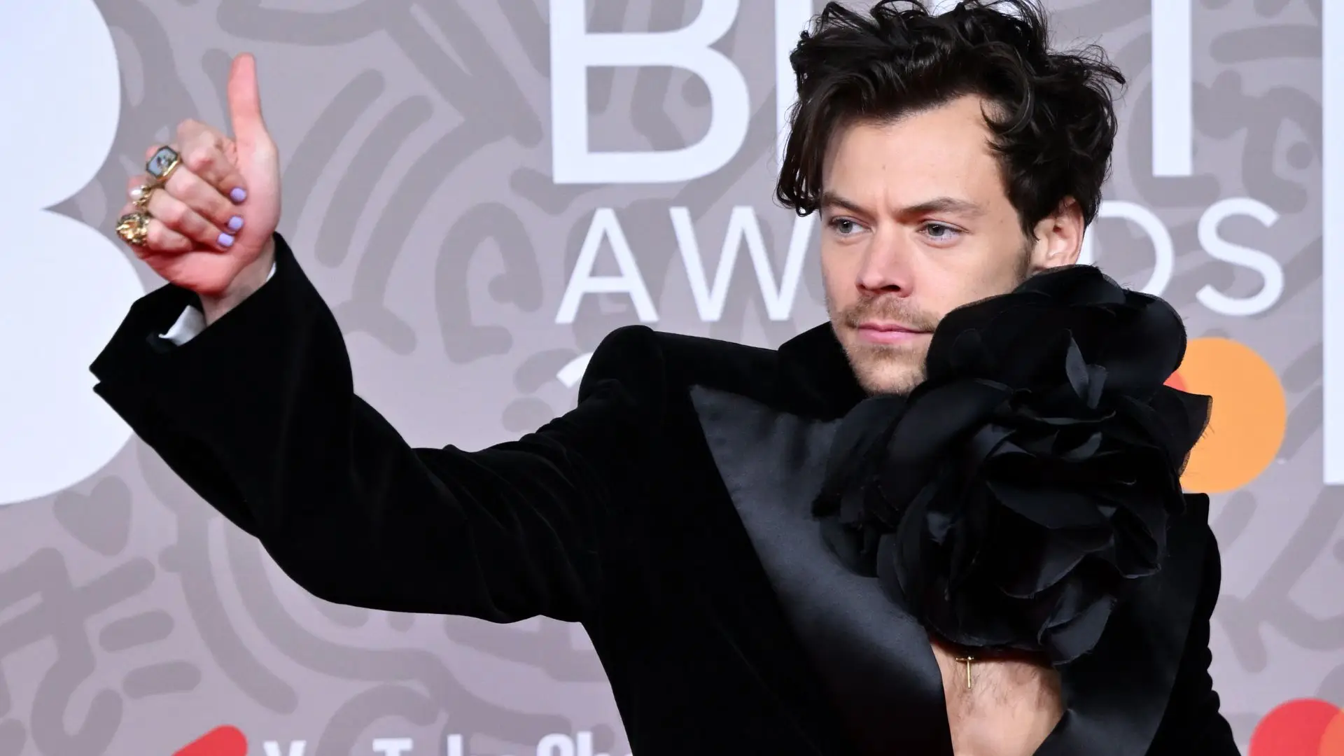 Yes, Hi, I’d Like To Apply To Be A Harry Style’s Tour Guide?