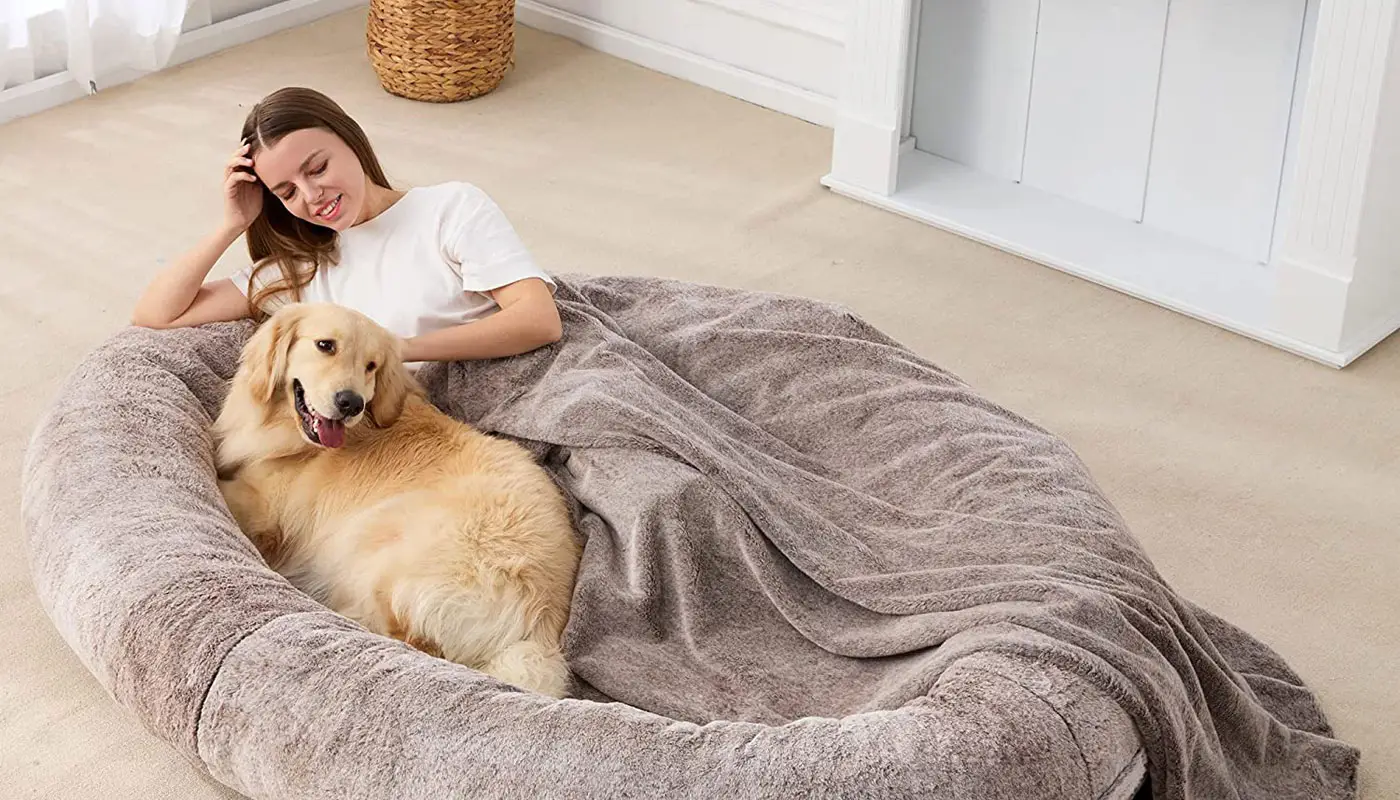 Dog Beds For Humans Exist And I Need One Immediately