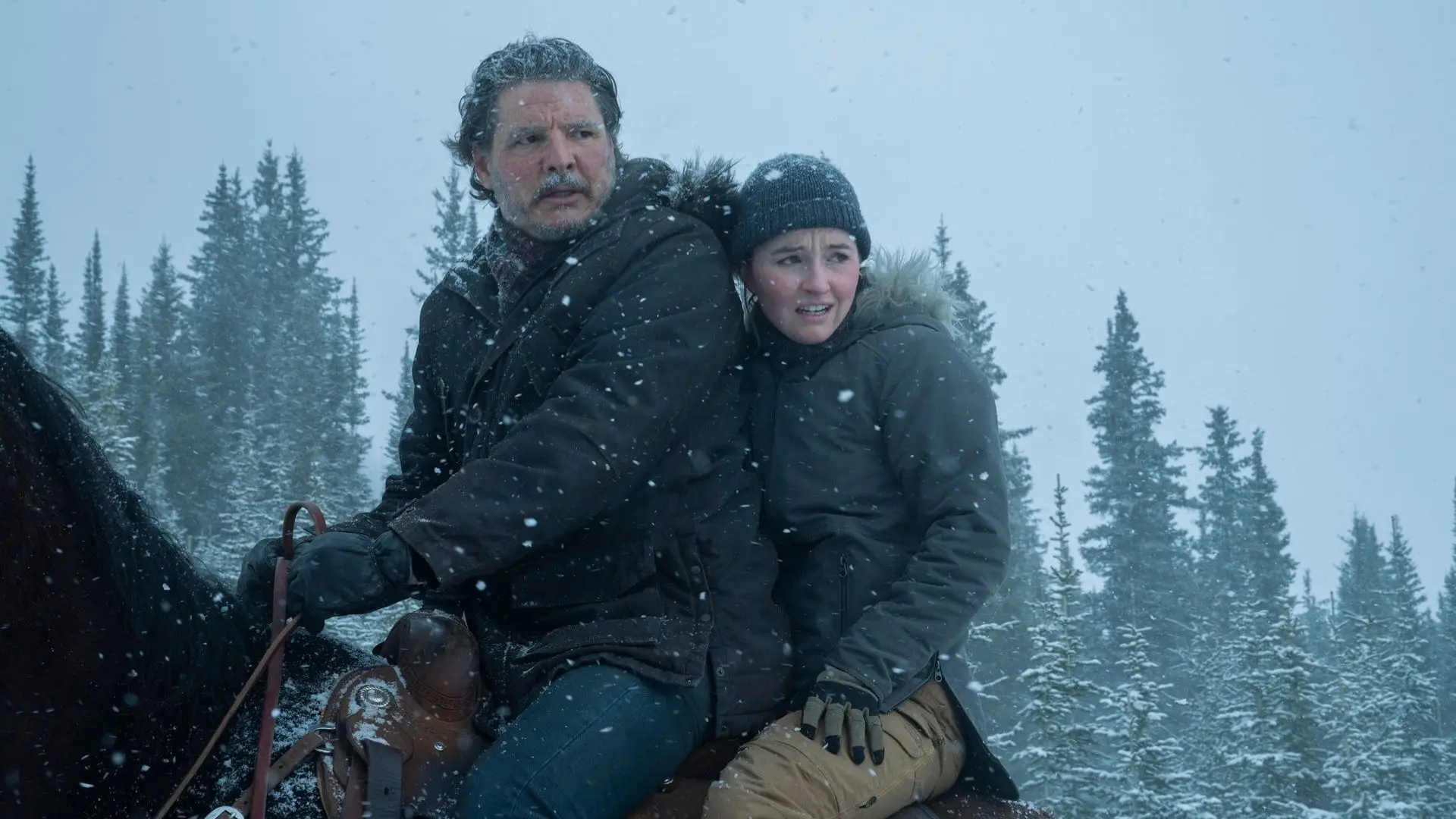 Warner Bros. Discovery