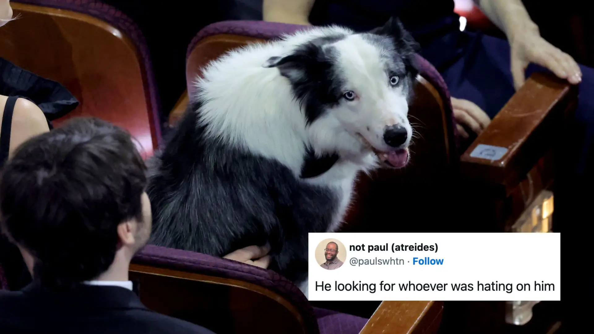 Red Carpet Tweets That Are More Entertaining Than The Actual Awards Show