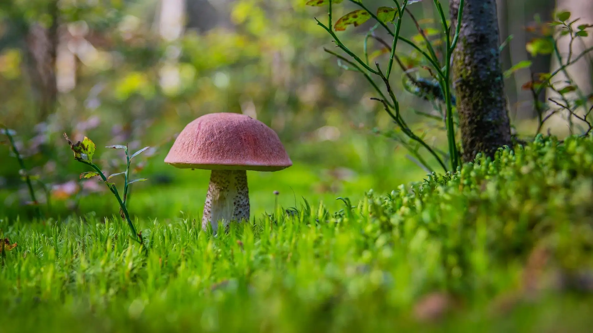 Photo by Egor Kamelev