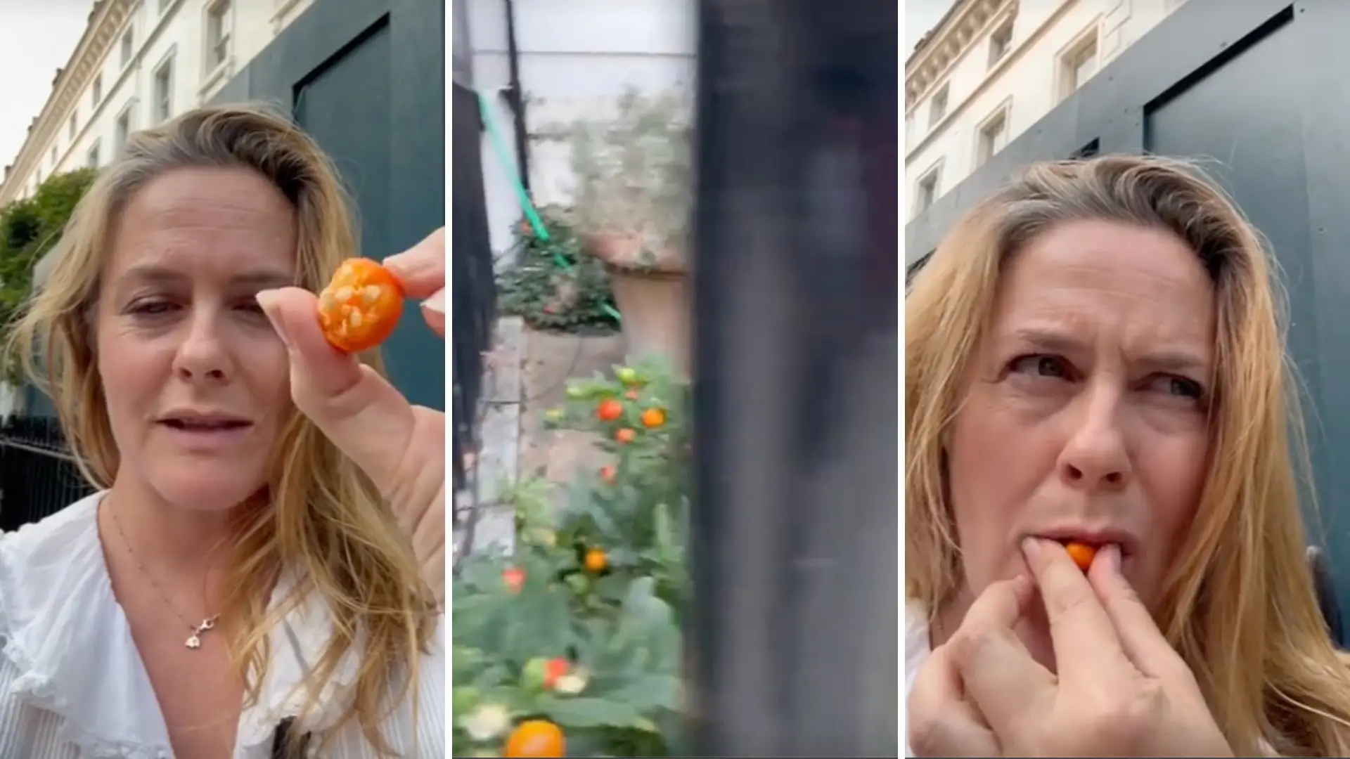 Pls Don’t Eat Random Fruit On The Side Of The Road (*Cough, Cough* Alicia Silverstone)