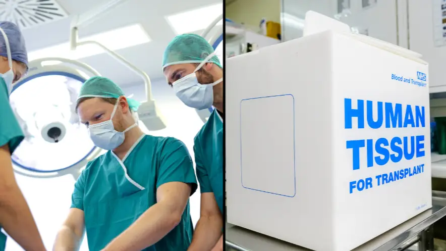 agefotostock/Alamy. Stephen Barnes/Medical/Alamy