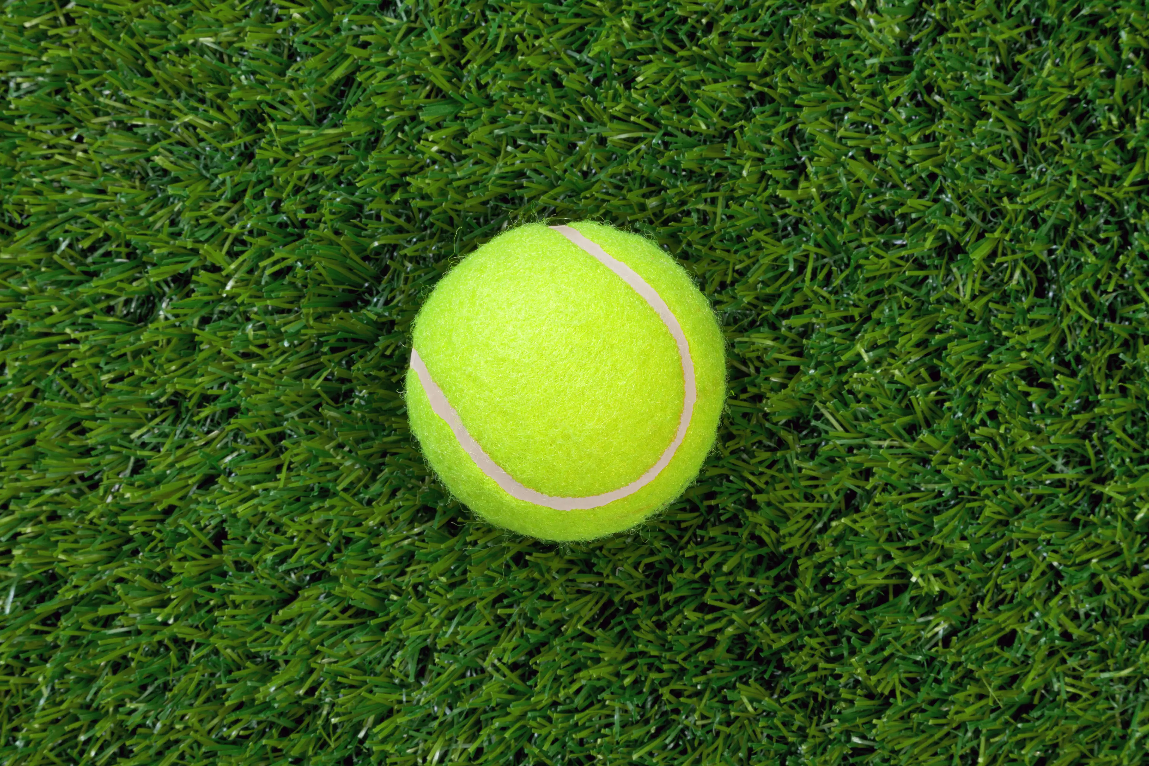 People are now debating the colour of a tennis ball. (