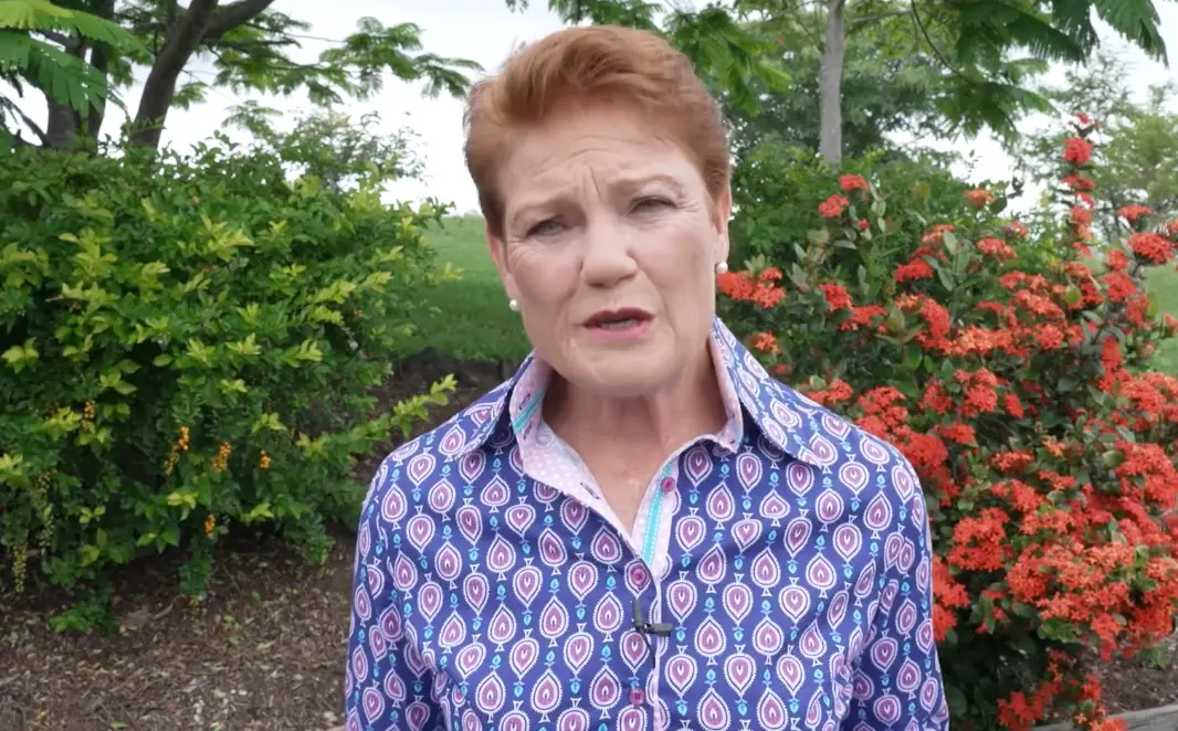 Pauline Hanson/Facebook