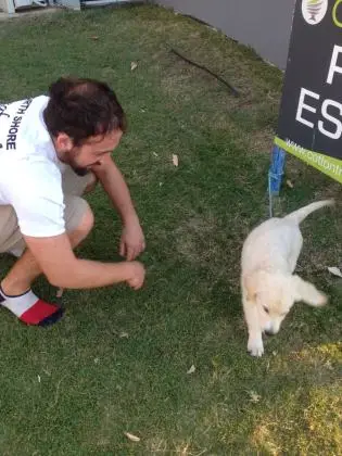 Spot the hiding hound.