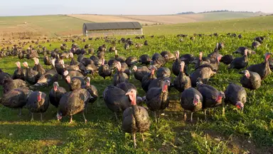 Tim Graham/Getty Images