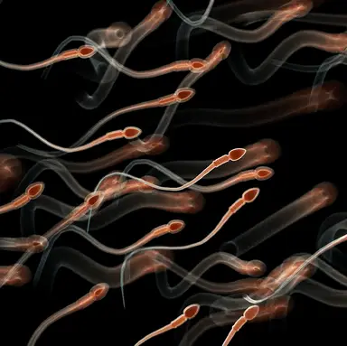 SCIEPRO / SCIENCE PHOTO LIBRARY / Getty