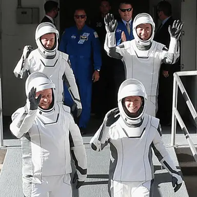 GREGG NEWTON / Contributor / Getty