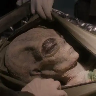 20th Century Fox Television