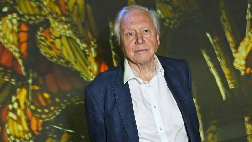 David Attenborough has worrying 2030 global prediction that could devastate the world